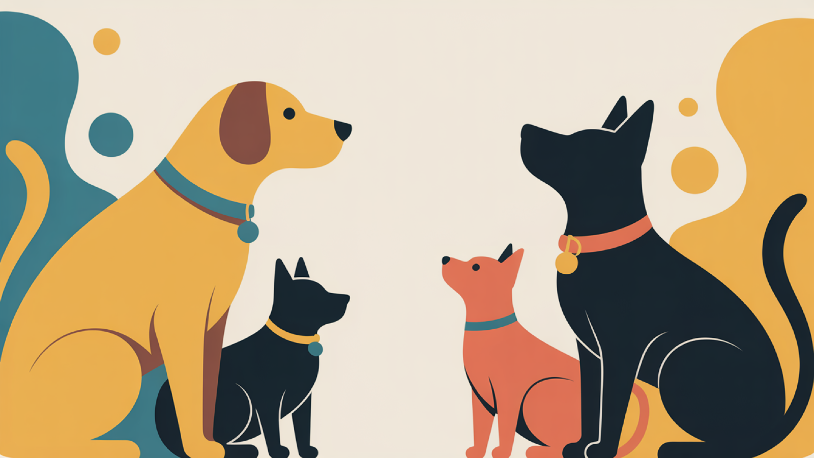 Hero Rescate Patitas